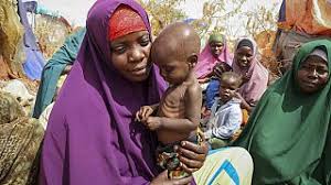 De juin à août 2024 : La famine guette près de 55 millions de personnes en Afrique de l’Ouest et du Centre