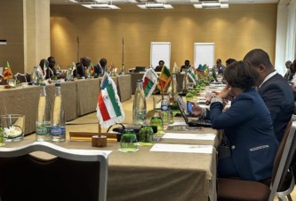 Conseil des Ministres de la CIPRES à Genève : Le comité d’experts s’est réuni sur les points saillants de la 36e session ordinaire